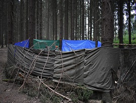 Lesní pevnost