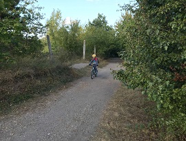 Sjezd