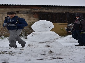 Sněhulák